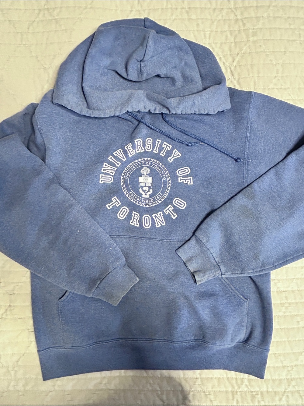 Jerzees University of Toronto Woman’s Small Hoodie Sweatshirt “Stained” 90s Y2K